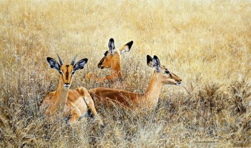 Animal Painting - impalas descansando
